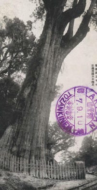 千年不墜的瑰寶－源遠流長的台灣南島語言